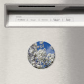 Bradford Pear Blooms Magnet (In Situ (Geschirrspüler))