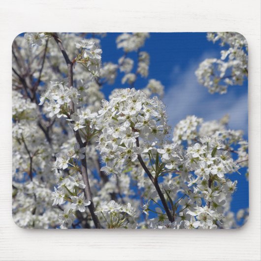 Bradford Pear Blooms Mousepad (Vorne)