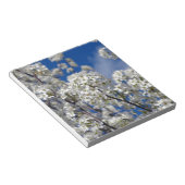 Bradford Pear Blooms Notizblock (angewinkelt)