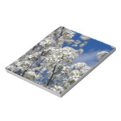 Bradford Pear Blooms Notizblock (Rotiert)