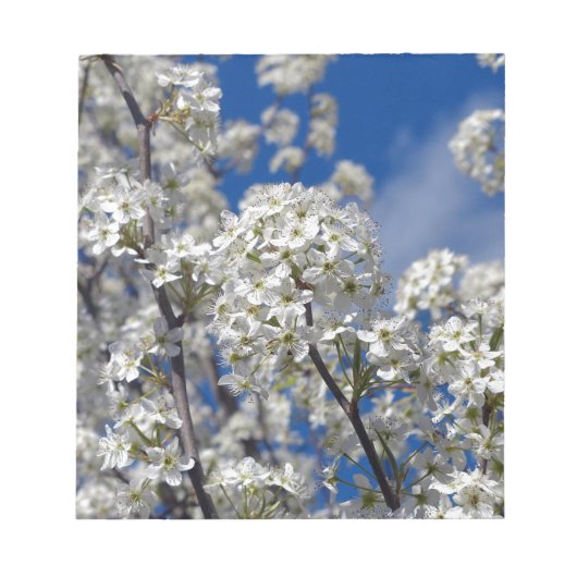 Bradford Pear Blooms Notizblock (Vorderseite)