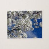 Bradford Pear Blooms Puzzle (Horizontal)