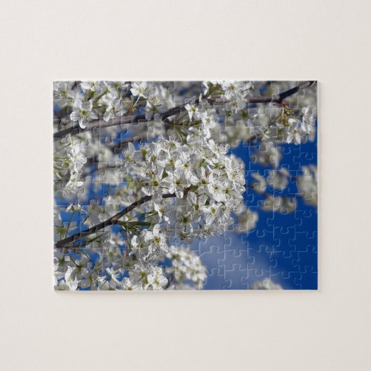 Bradford Pear Blooms Puzzle (Horizontal)