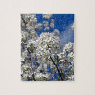 Bradford Pear Blooms Puzzle