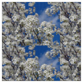 Bradford Pear Blooms Stoff (Nahaufnahme)