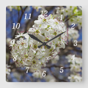 Bradford Pear Blooms Wall Clock Quadratische Wanduhr