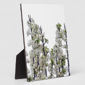Bradford Pear Blossoms Fotoplatte (Seite)