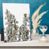 Bradford Pear Blossoms Fotoplatte (Seite)