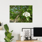 Bradford Pear tree - Poster (Heimbüro)