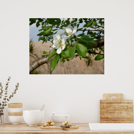 Bradford Pear tree - Poster (Küche)