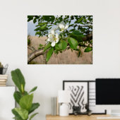 Bradford Pear tree - Poster (Heimbüro)