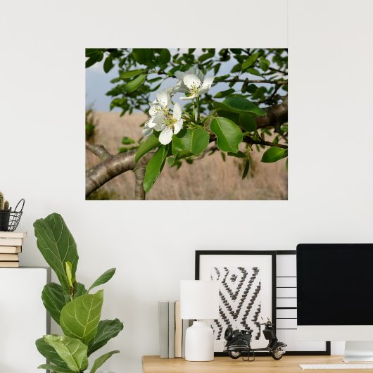 Bradford Pear tree - Poster (Heimbüro)