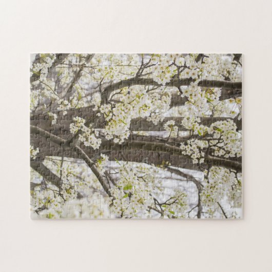 Bradford Pear Tree White Spring Floral Nature Puzzle (Horizontal)