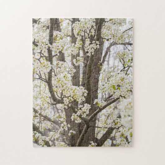 Bradford Pear Tree White Spring Floral Nature Puzzle (Vertikal)