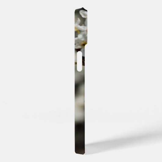 Bradford Select Focus iPhone Case (Rückseite / Rechts)