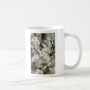 Bradford Select Focus Kaffeetasse