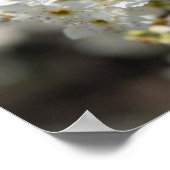 Bradford Select Focus Poster (Ecke)