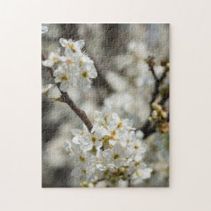 Bradford Select Focus Puzzle