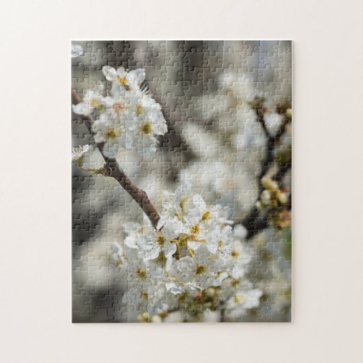 Bradford Select Focus Puzzle (Vertikal)