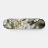 Bradford Select Focus Skateboard (Horizontal)