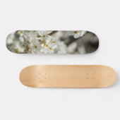 Bradford Select Focus Skateboard (Horizontal)