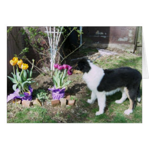 Braedyn riecht die Blume