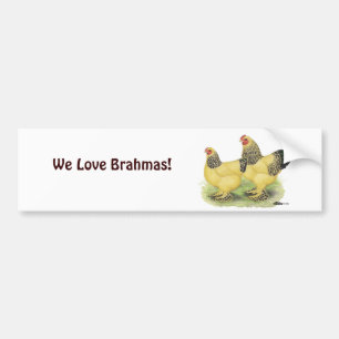 Brahma Buff Pair Autoaufkleber