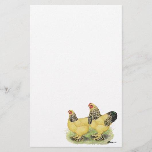 Brahma Buff Pair Briefpapier (Vorderseite)