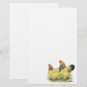 Brahma Buff Pair Briefpapier (Vorne/Hinten)
