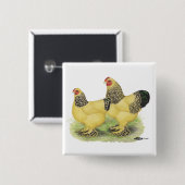 Brahma Buff Pair Button (Vorne & Hinten)