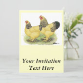 Brahma Buff Pair Einladung (Stehend Vorderseite)