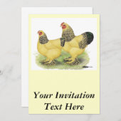 Brahma Buff Pair Einladung (Vorne/Hinten)