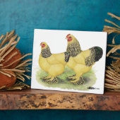 Brahma Buff Pair Fotoplatte (Seite)