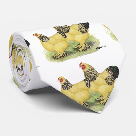 Brahma Buff Pair Krawatte (Gerollt)