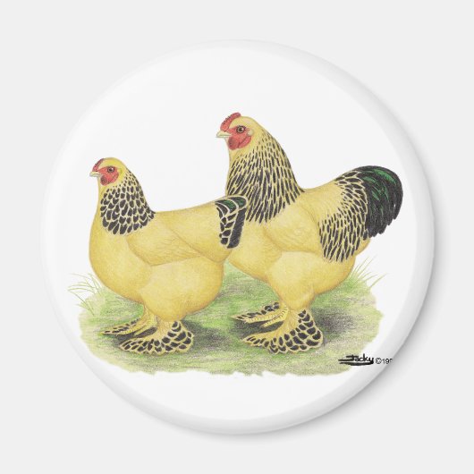 Brahma Buff Pair Magnet (Vorne)