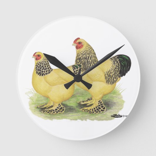 Brahma Buff Pair Runde Wanduhr (Vorderseite)