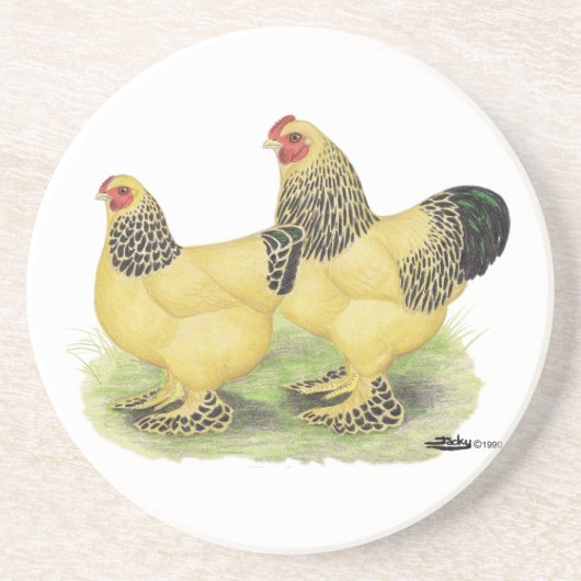 Brahma Buff Pair Sandstein Untersetzer (Vorne)
