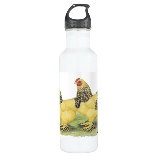 Brahma Buff Pair Trinkflasche (Vorderseite)