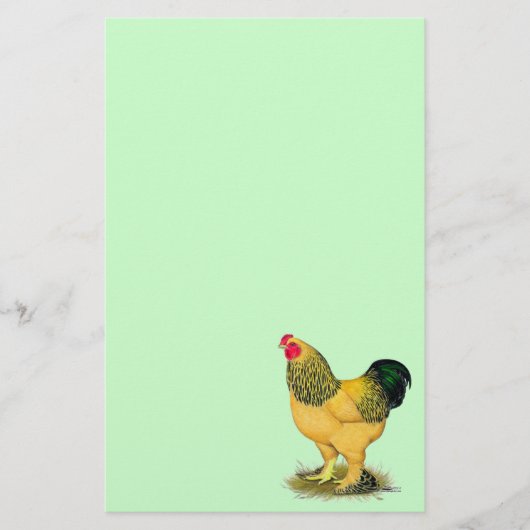 Brahma: Buff Rooster Briefpapier (Vorderseite)