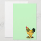 Brahma: Buff Rooster Briefpapier (Vorne/Hinten)