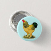 Brahma: Buff Rooster Button (Vorne & Hinten)