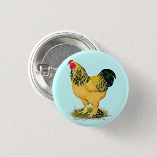Brahma: Buff Rooster Button (Vorne & Hinten)