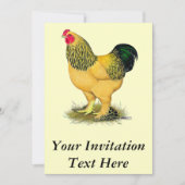 Brahma: Buff Rooster Einladung (Vorderseite)