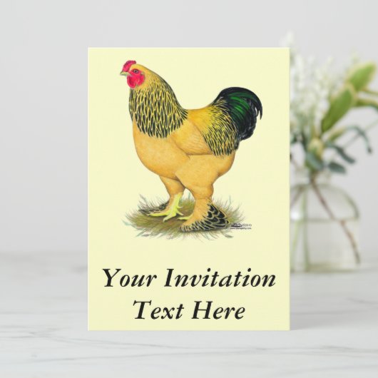 Brahma: Buff Rooster Einladung (Stehend Vorderseite)