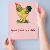 Brahma: Buff Rooster Flyer (Hand)