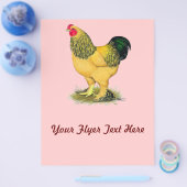 Brahma: Buff Rooster Flyer (Einzeln)