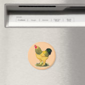 Brahma: Buff Rooster Magnet (In Situ (Geschirrspüler))
