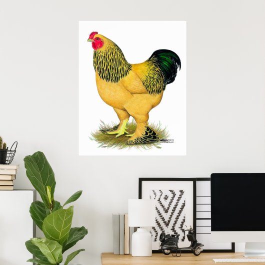 Brahma: Buff Rooster Poster (Heimbüro)