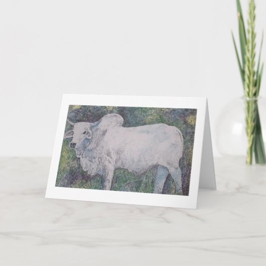 BRAHMA BULL KARTE (Vorderseite)