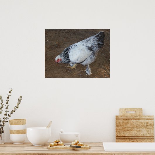 Brahma Chicken Poster (Küche)